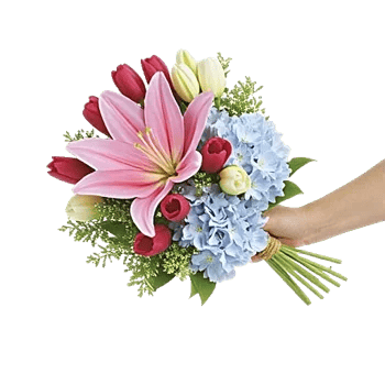 Blossom Harmony Display