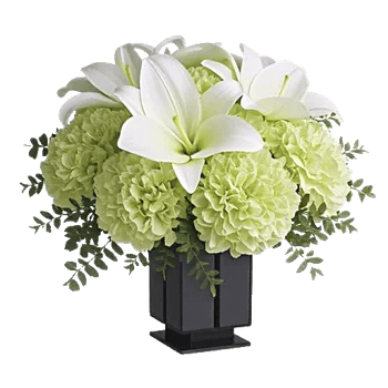 Ivory Blossom Radiance