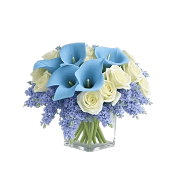 Elegant Calla Lilies