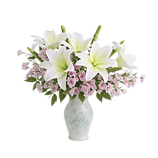 Ivory Blossom Radiance