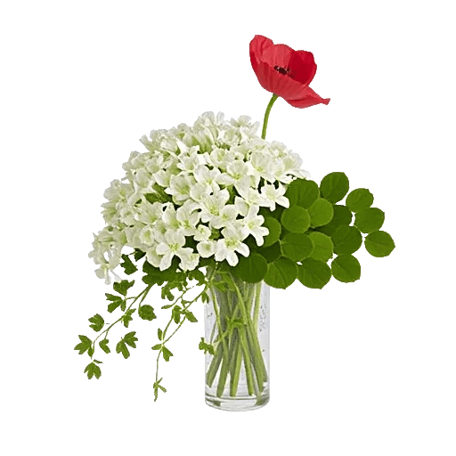 Ivory Blossom Radiance