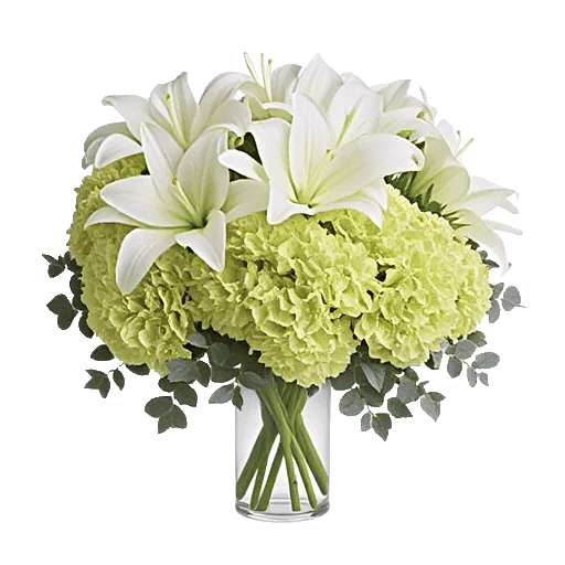 Ivory Blossom Radiance