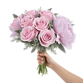 Pastel Pink Roses