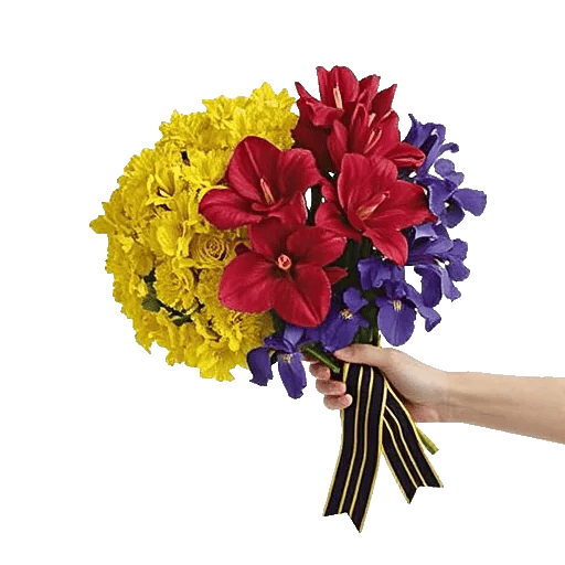 Crimson Blossom Harmony