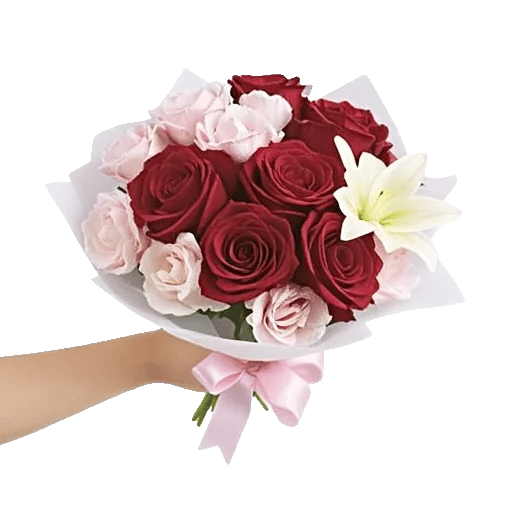 Crimson Rose Elegance