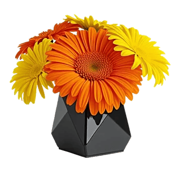 Petal Radiance Bliss