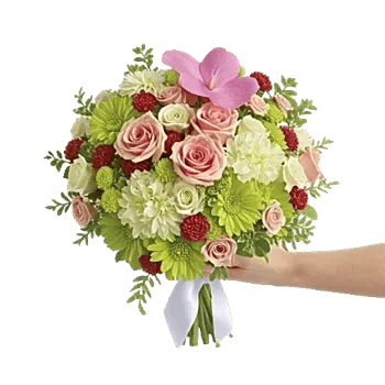 Pastel Pink Roses