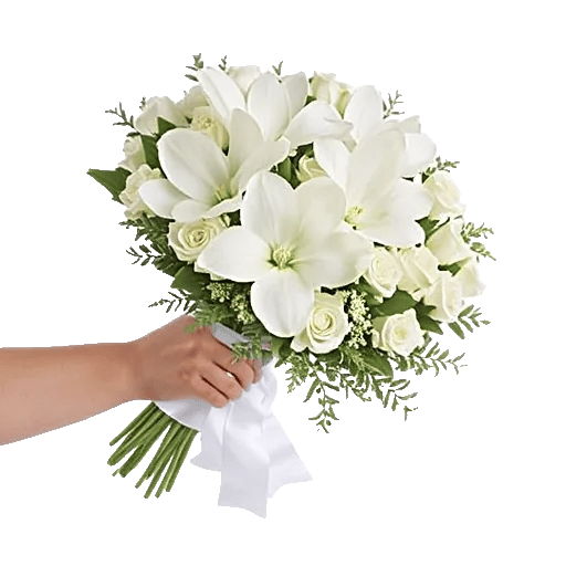 Minimalist White Orchids