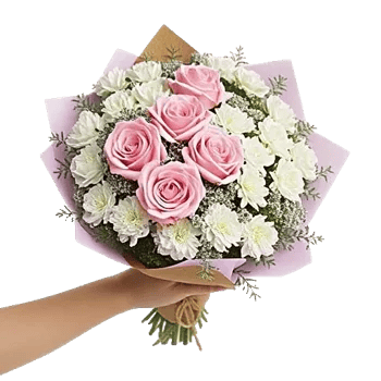 Pastel Pink Roses
