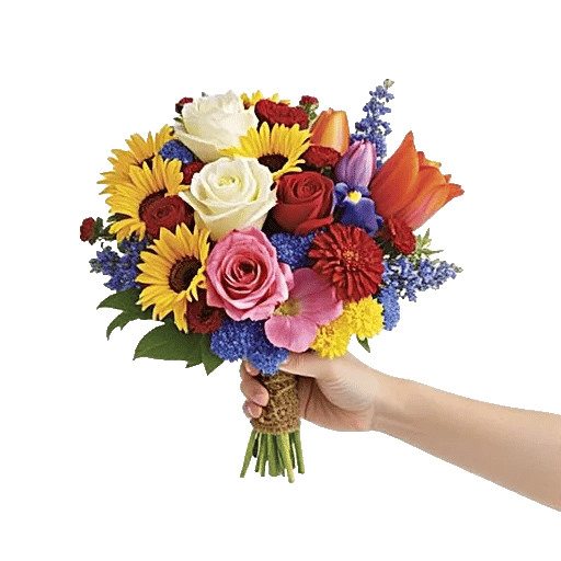 Blossom Harmony Display