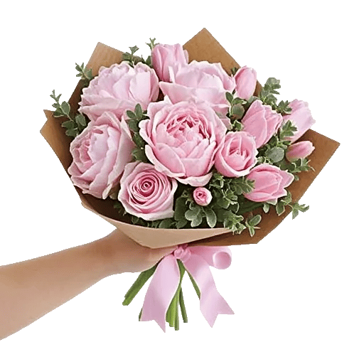Peony Petal Harmony