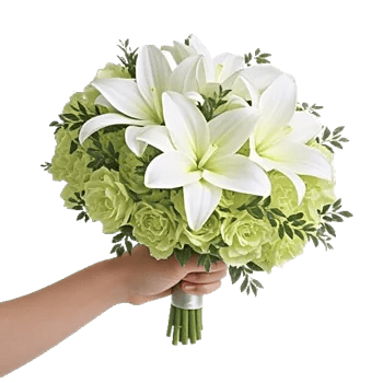 Ivory Garden Grace