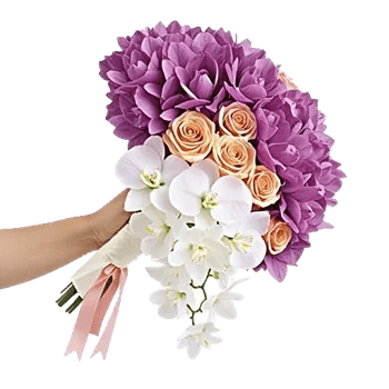 Orchid Bloom Cascade