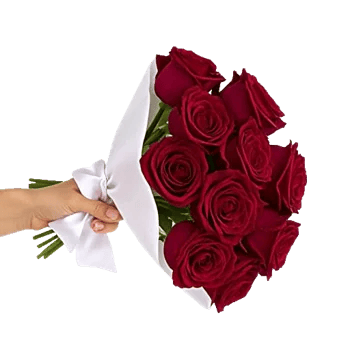 Crimson Rose Elegance