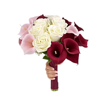 Elegant Calla Lilies