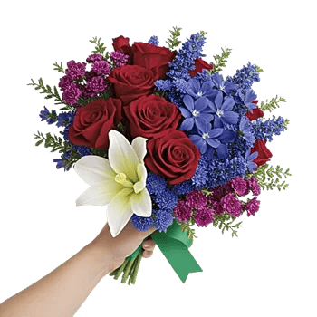 Crimson Rose Elegance