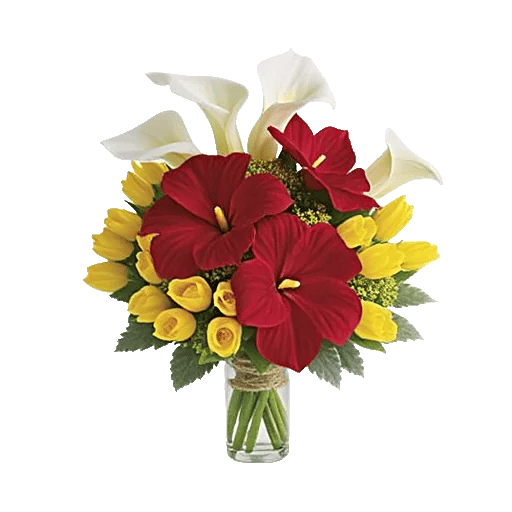 Elegant Calla Lilies