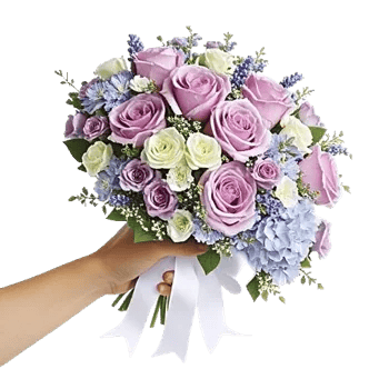 Pastel Blossom Grace