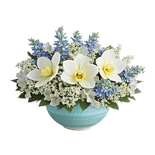 Minimalist White Orchids