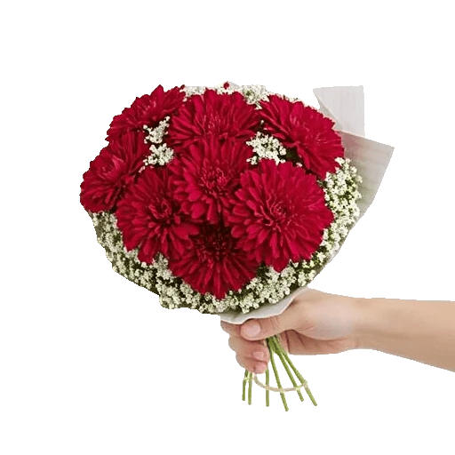 Crimson Rose Elegance