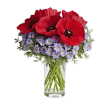 Petal Radiance Bliss