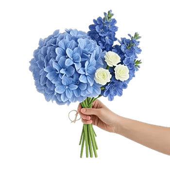 Sapphire Bloom Whisper