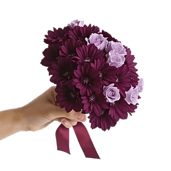 Blushing Rose Symphony