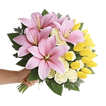 Blossom Harmony Display