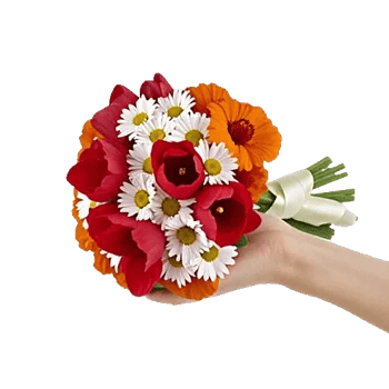 Scarlet Tulip Splendor