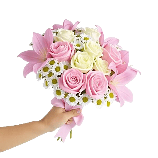 Pink Pastel Roses