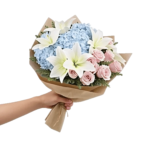 Serene Petal Harmony