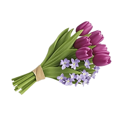 Velvet Tulip Display