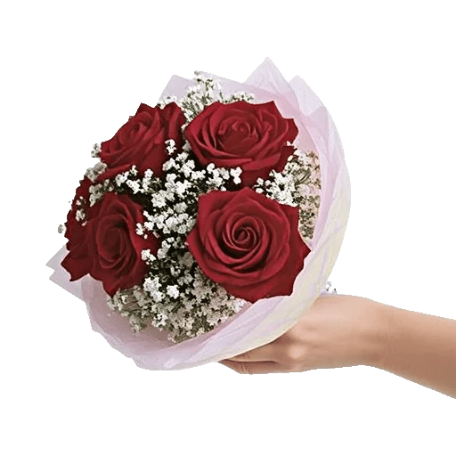 Crimson Rose Elegance