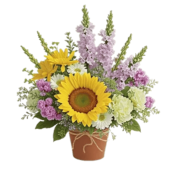 Amber Sunflower Glow