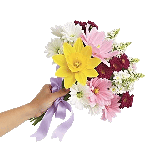 Blossom Harmony Display