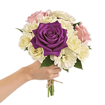 Blushing Rose Symphony