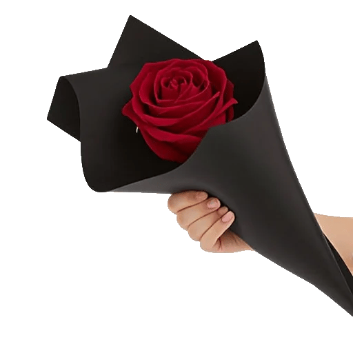 Crimson Rose Elegance