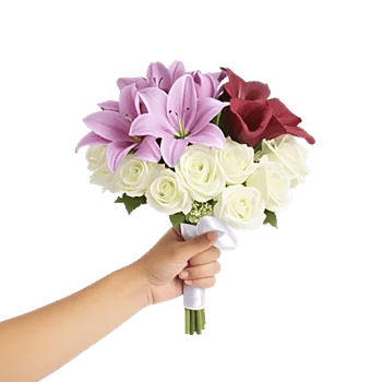 Elegant Calla Lilies