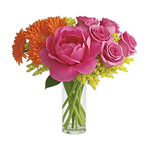 Petal Radiance Bliss