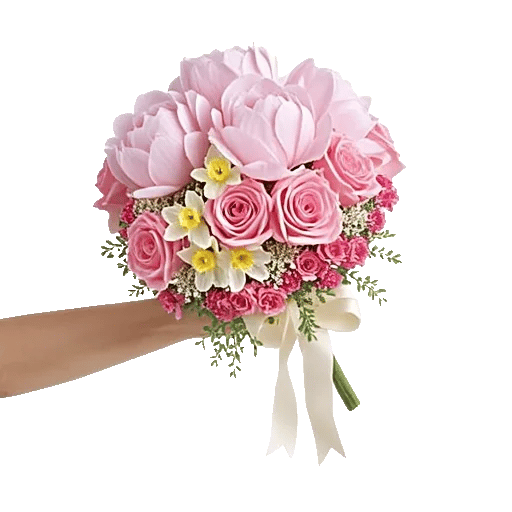 Peony Petal Harmony