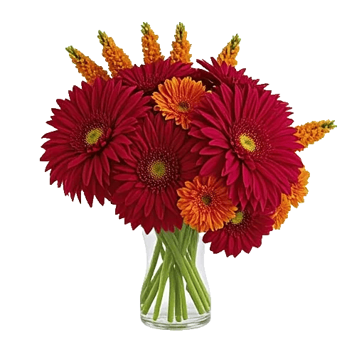 Crimson Blossom Harmony