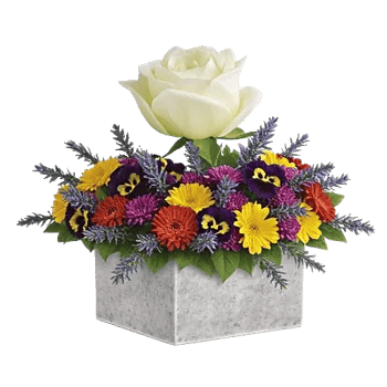 Delicate Petal Cascade