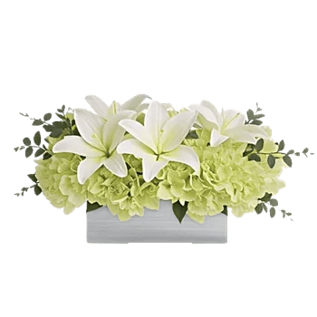 Graceful Lily Display