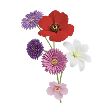 Ivory Blossom Radiance