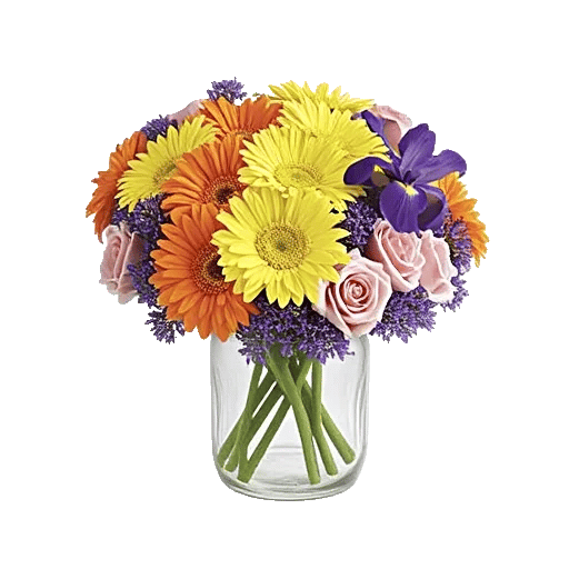 Petal Radiance Bliss