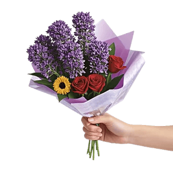 Blossom Harmony Display