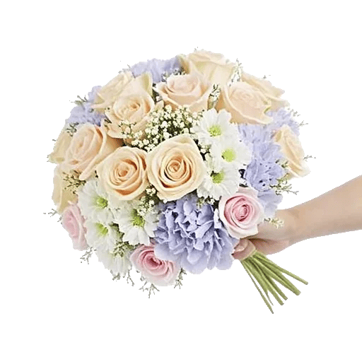 Pastel Pink Roses