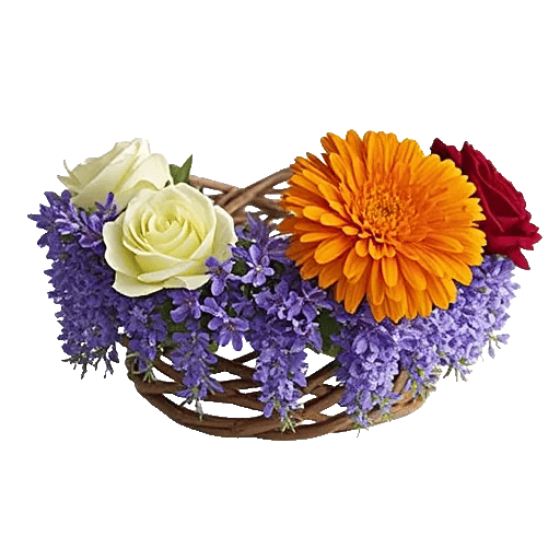 Golden Petal Harmony