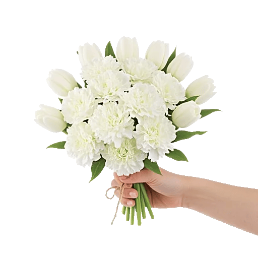 Ivory Garden Grace