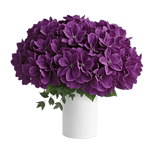 Ivory Blossom Radiance